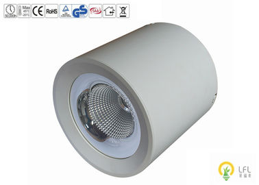 20W Dimmable LED Commercial Ceiling Lights For Shopping Malls 120lm/W