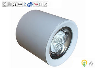 Lumière LED blanche 380-800nm Longueur d'onde pour le jardin intérieur et extérieur
